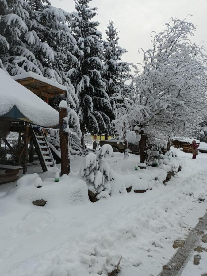 Cabana Micutu Villa Sebes  Exterior photo